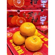 [IN STOCK] 4KG Yong Chun Lukan CNY Mandarin Orange [ M / L / XL ] 永春芦柑
