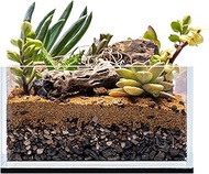 UNS Ultra Clear Rimless Tank - 0.5GAL | 2L - 6.29x6.29x3.14 | 16x16x8 CM, 5mm Glass Thickness, Level