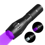 Mini uv torch with strong capacity