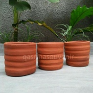 Wasp POT/ Clay POT/ POT 8cm