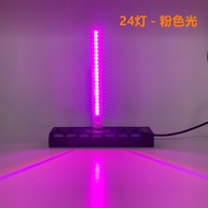 Festival Atmosphere LED Light 5V