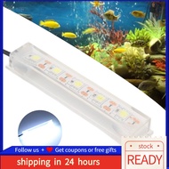 [READY STOCK] USB Fish Tank White Light Betta Aquarium For Indoor Plants