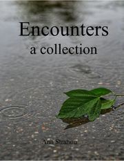 Encounters: A Collection Ann Stratton