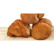 猴头菇 Lion's Mane Mushroom 100g