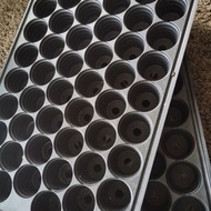 SEEDLING TRAY 51 HOLES/DULANG BEKAS SEMAIAN 51 LUBANG 5pcs