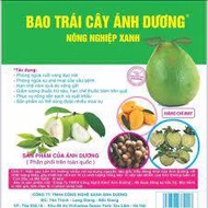 Set of 100 fruit bags 30 x 30cm Anh Duong, drawstring bags of grapefruit, mango, custard apple
