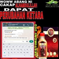 minyak lintah belacak original