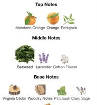 Aqva Pour Homme and Marine Bvlgari 1.5ml/0.05 fl oz Men (1 of each) Mini Spray Sample Eau De Toilett