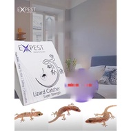 1 Box (9 Pieces) Lizard Trap Glue Gecko Glue Lizard Glue