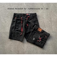 FZ PREMIUM JUMBO SIZE SHORT JEANS / MEN'S SHORTS