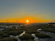 Tour trong ngày Chợ hoa du lịch Zhongshe & Đầm lầy Cao Mỹ & Bệnh viện mắt Miyahara & Làng Cầu Vồng &