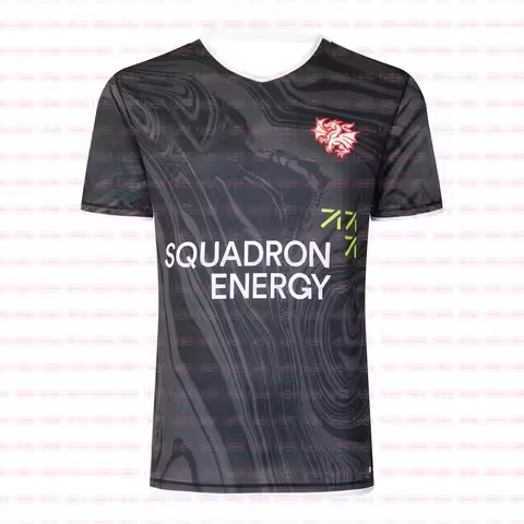 2025 Summer Australian NRL St George Illawarra Dragons Home Rugby Jersey Women Men Oversize Training