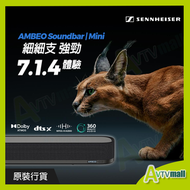 SENNHEISER - AMBEO Soundbar Mini (700138) Dolby Atmos DTS:X 家庭影院 Sennheiser 森海賽爾