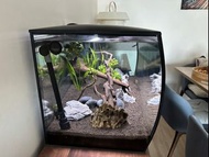 Complete aquarium fishtank setup of 123L (Fluval Flex 32.5 Gallons), excellent condition / 完整的魚缸