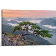 Landscape Wall Art Poster Bonsai Tree Poster Plant Poster Canvas Painting Wall Art For Bedroom Livin