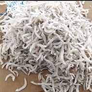 Medan anchovies/tauge/toge