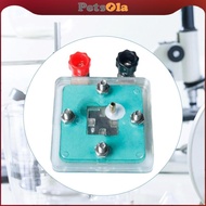 [PETSOLA] Hydrogen Fuel Cell Proton Exchange Membrane Device for Middle School Student