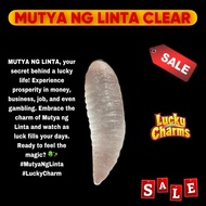 ♞Mutya ng Linta na Clear pampaswerte