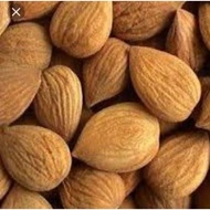AMPUH BIJI APRIKOT PAHIT ORGANIK / BITTER APRICOT KERNEL ORGANIC HUNZA BEST SELLER