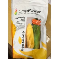 Benih Jagung Manis 932 F1 Hybrid Crop Power 500gm - Sweet Corn Seeds