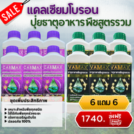 โปร  6 แถม 6 (แคลเซียมโบรอน CABMAX + VAMAX ปุ๋ยธาตุอาหารรวมเข้มข้น) ชุดทำดอก บำรุงผลผลิต ปลอดภัย 100