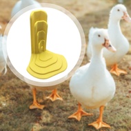 Chicken Leg Splint For Broken Leg Comfortable Secure Fit For Turkeys