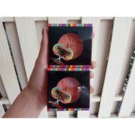 บลัชออนคุกกี้สีสันสดใส AAC CANDY BAR LOLLI POP BLUSH