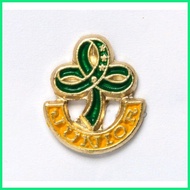 ◬ GSP PINS (twinkler, star, junior, senior, cadet,troop leader pin, WORLD PIN, GSP LOGO PIN)