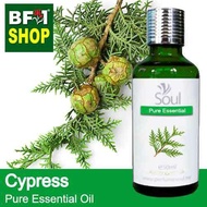 Pure Essential Oil (EO) - Cypress Essential Oil - 50ml