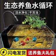 [in stock]Native Stream Tank Full Set of Landscape Aquarium Household Living Room Desktop South American Style Super Clear Thickened Glass Ecological Fish Tank
