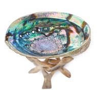 Natural Abalone Shell Smudging Bowl for sage sticks Palo Santo Resin Frankincense