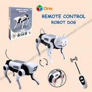 Remote control toy robot dog cat DIY assemble Science smart robot