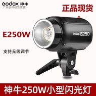 Godox Shenniu E250w Studio Flash Light Studio Light Photography Light Soft Light Photography Flash L