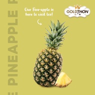 [FOC][KLANG VALLEY ONLY 只限雪隆区] MD2 Pineapple (1 biji)