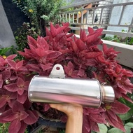 slincer knalpot tabung motor GP 1 DPJ RMS DSM BSS Gratis Laser inlet d50