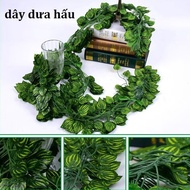 Combo of 12 3D Leaf Vines, Watermelon Vines, Grape Leaves, Betel Leaves 2m2 long - super durable fak
