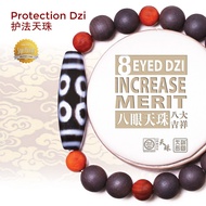 Dzi Kingdom 8 Eyed Dzi  Increase Merit 八眼天珠 八大吉祥 天珠王国手链/项链Bracelet/Necklace