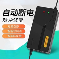 Electric Car Charger Battery Car Charger 48V60V72V20AH Tricycle Tram Universal
