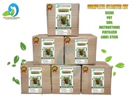 BONSAI SILI LABUYO GROWING KIT - READY TO USE/COMPLETE PACKAGE/POT/SOIL/SEEDS/FERTILIZER/MANUAL/LABE