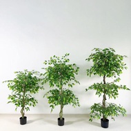 SG_SHADOW |Artificial Plant Fake Ficus Tree Tall Artificial Plants with Pot Faux Potted Plants Fake 