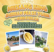 One-Day Musang King Durian Feast Tour