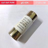 Fuse Cut Out Plasma gG63A 500V - 50KA 22x58 3pin UK PLUG FUSE