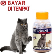 BEST LYSINE VITAMIN FOR THIN CATS, APPETITE STIMULATOR, FLU PREVENTION