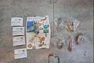 海洋堂 Q 魷魚 海洋生物 全5種 現貨