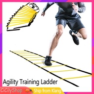 Outdoor Indoor Adjustable Agility Training Ladder for Fitness MMA Agile Pace Boxing Soccer Football 