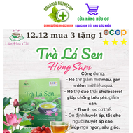 Liên Hoa Chi Organic Lotus Root & Ginseng Tea Sachet - Detox & Weight Management Herbal Tea - Box of