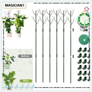 MAGICIAN1 Plant Support Stakes, 43.3" Plastic Plant Support Pile Stand,  Plants Support Detachable Plant Climbing Frame Outdoor Indoor