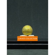 Loop Om Metta Maha Niyom 人缘路翁 LP SAKORN B.e 2554 龙婆沙空