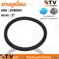 BTV ยางยูเนี่ยน ขนาด 1/2"-4" สามารถใช้ได้กับทั้ง ยูเนี่ยน PVC และ ยูเนี่ยนเหล็ก รับประกันคุณภาพ