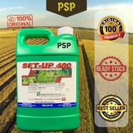 SET-UP 480 4L GLYPHOSATE 41% RACUN RUMPAI /RACUN RUMPUT LALANG/RACUN RUMPAI SERUPA ROUNDUP/HERBICIDE
